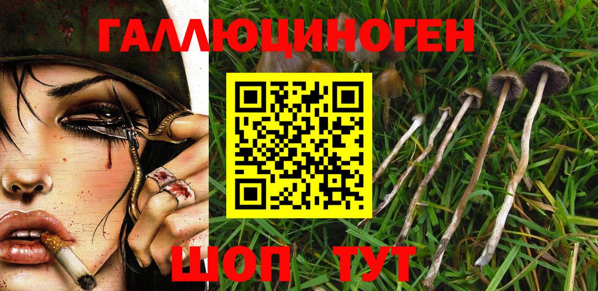Галлюциногенные грибы MAGIC MUSHROOMS  Псилоцибиновые грибы ЛСД  Ейск  Вход с VPN 